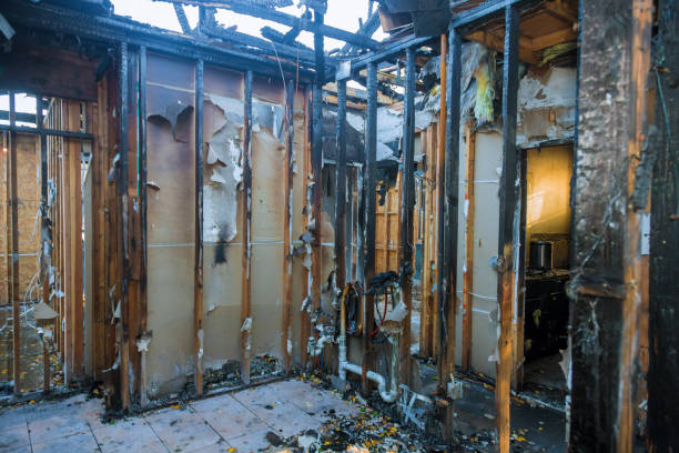 Professional Fire Damage Removal technician working in Lovettsville, VA